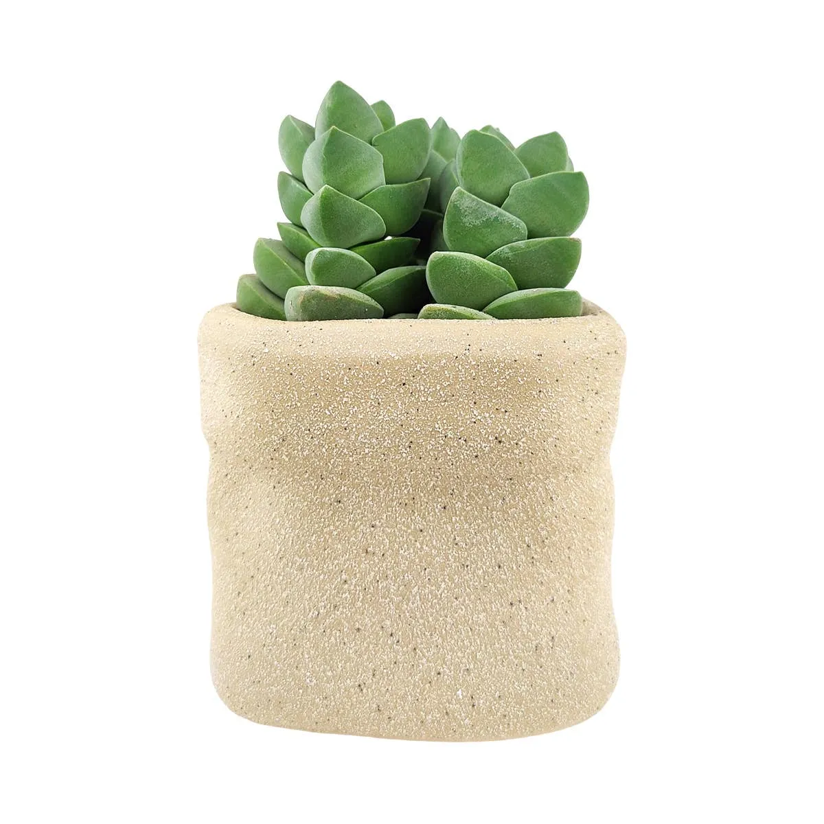 4" Beige Ceramic Paper Bag Plant Pot with Drainage Hole