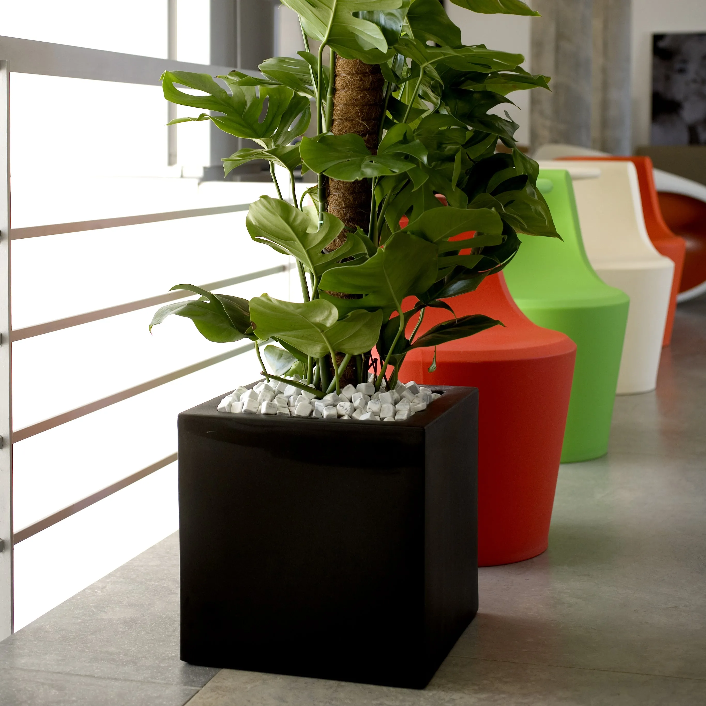 Cube Planter