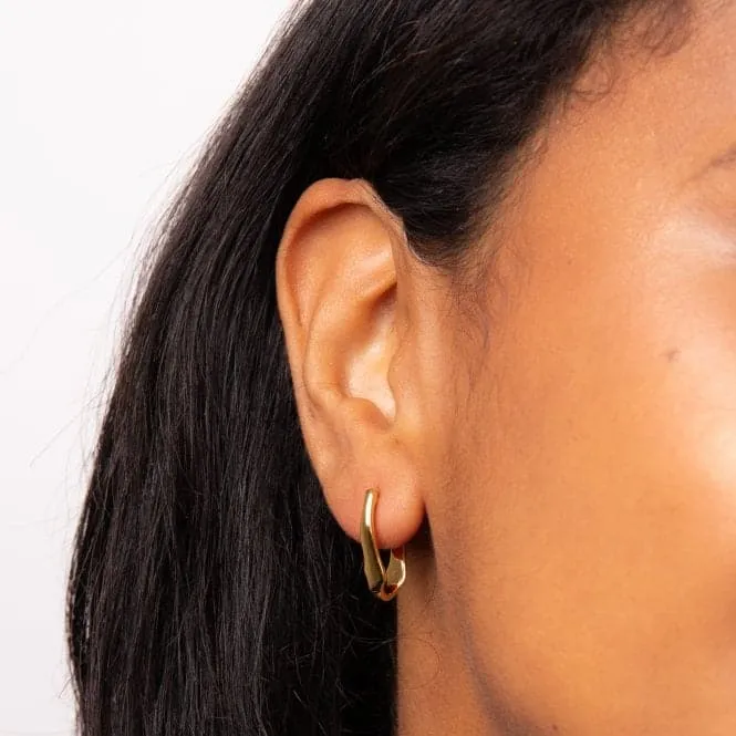 Sterling Silver 18ct Gold Earrings E6363